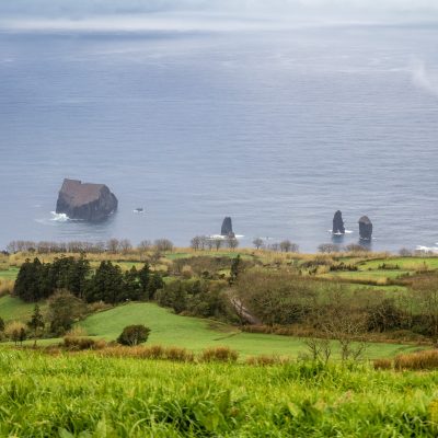 Weidegrün am Atlantik