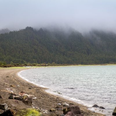 Vogel-Strand am Lagoa do Fogo