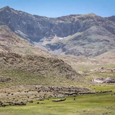 Viehherde am Pass bei Bahçesaray