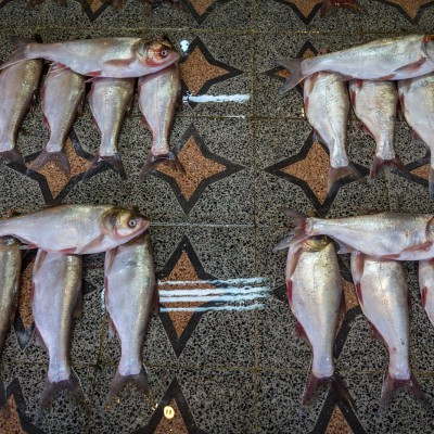 Fischmarkt in Tonekabon