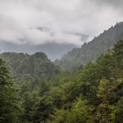 Nebelwälder auf dem Weg zur Kelardasht-Hochebene