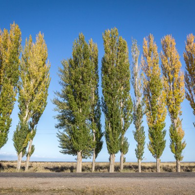 Auf dem Weg von Bishkek zum Issyk Kul