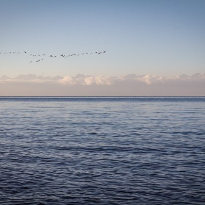 Issyk Kul mit Zugvögeln