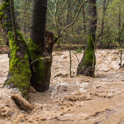 Reissender Bach nach tagelangem Regen