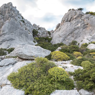 Klettern am Monte Bonacao