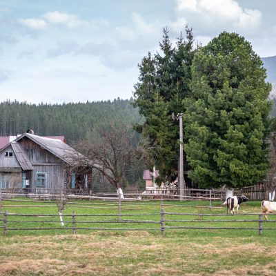 Abendstimmung am Fuße des Hoverla