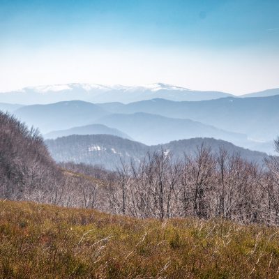 Aufstieg zum Tarnica, 1346m
