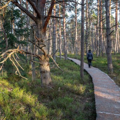 Torfwanderweg Tarnawa
