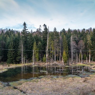 Blick vom Biber-Beobachtungsturm bei Tarnawa Nizna
