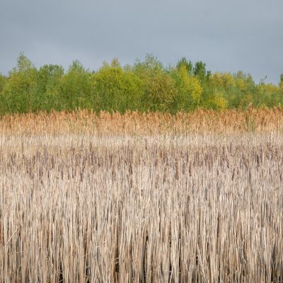 wechselnde Wasserhöhen an der Dnister