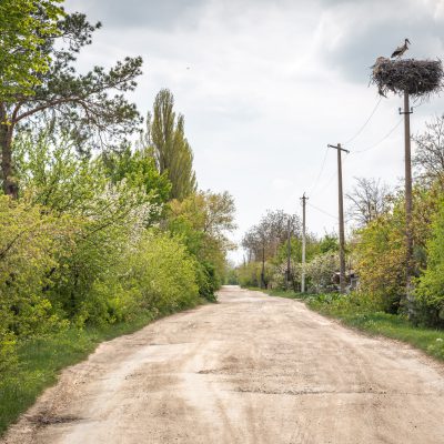 Überall gibt es Störche