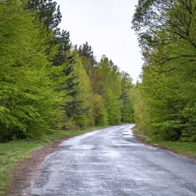 Mischwälder südlich von Schytomyr