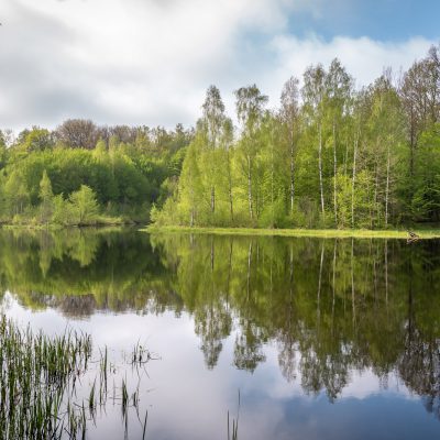 Spiegelbild