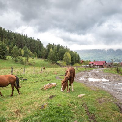Dorfspaziergang in Tyulyuk