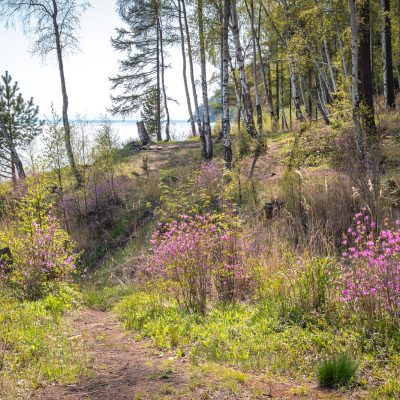 Tageswanderung auf den Great-Baikal-Trail nach Bolschije Koty (Baikal NP)