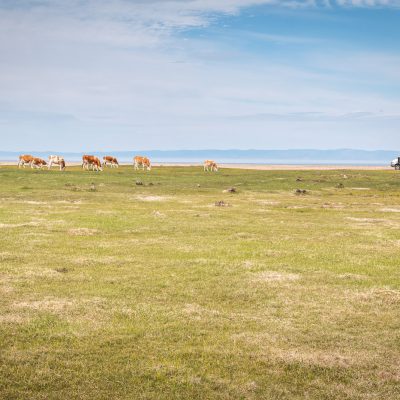 Standplatz an der Posolskiy-Bucht