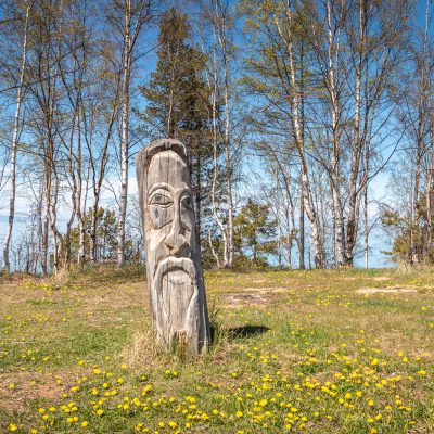 Holzgeist der Schamanen