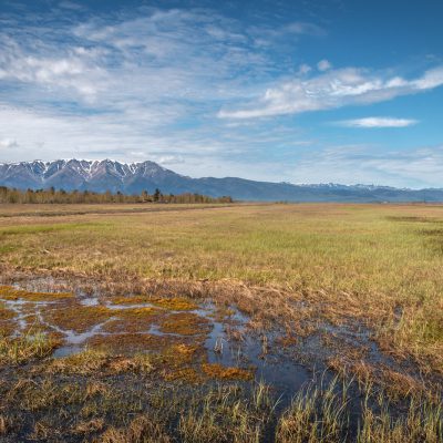 Feuchtwiesen im Sabaikalski NP