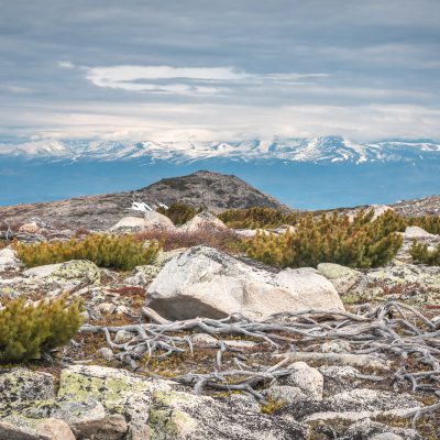 Markowo-Plateau mit Blick auf die Barguziner Gebirgskette