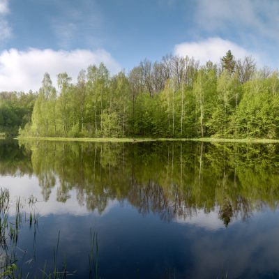 2019 April – Panorama UKR
