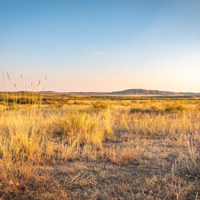 2019 August – Eindrücke der kasachischen Steppe