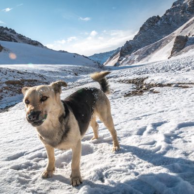 "Conchi" unser Beschützer