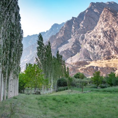Pappelhain in Khijez