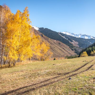 Goldener Herbst