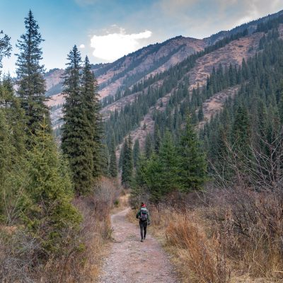 Waldspaziergang in der Turgen-Schlucht