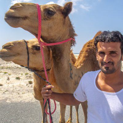 Marktwert pro Kamel: 2000€