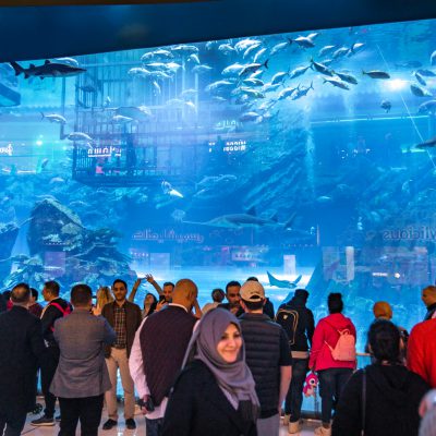 Dubai Mall Aquarium