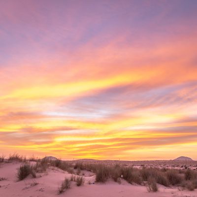 Abendglühen in den Dünen