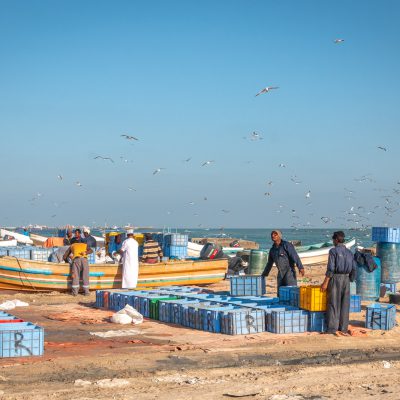 Reges Treiben am Fischereihafen von Shaana