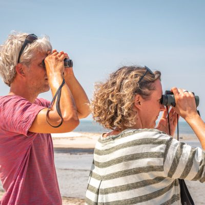 EIne Leerstunde in Ornithologie