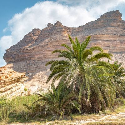 2020 Februar – Omans Süden bis Masirah – Teil 2