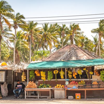 Kokosnüsse, Papayas und Bananen... Leben wie im Paradies