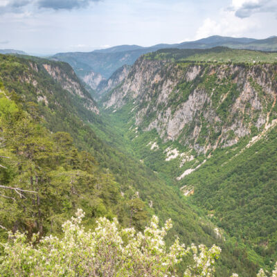 Susica-Schlucht an der Durmitor-Ringstraße