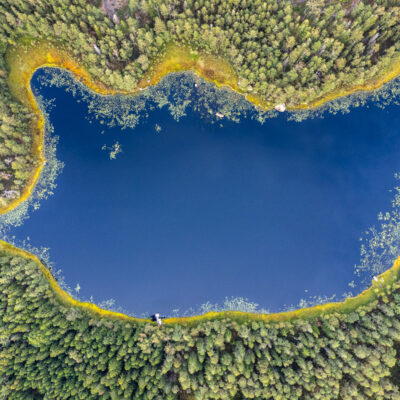 Waldsee im Åsnen Nationalpark