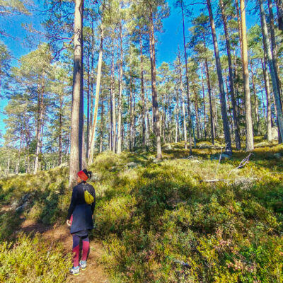 Wanderung im Norra Kvill Nationalpark