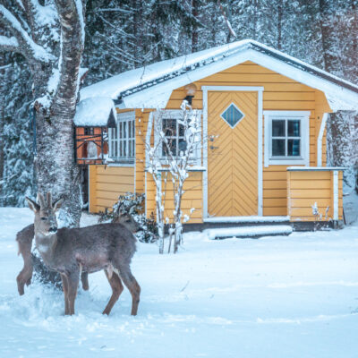 Ein Winter beginnt...