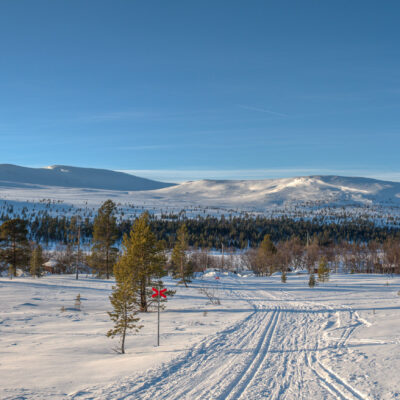 Touren bei Grövelsjön