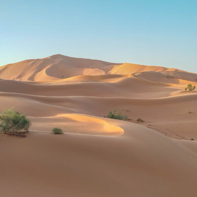 Morgenstimmung in der Wüste