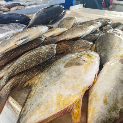 Fischmarkt in Salalah